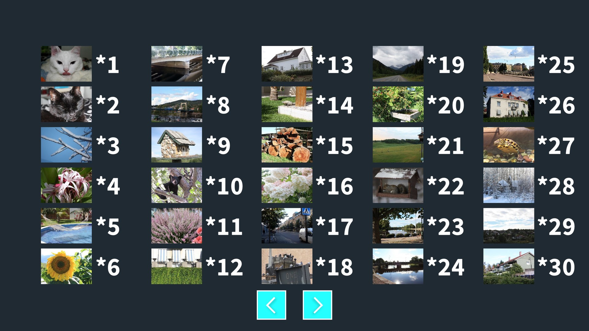 StOoPiD Puzzle Game screenshot 17