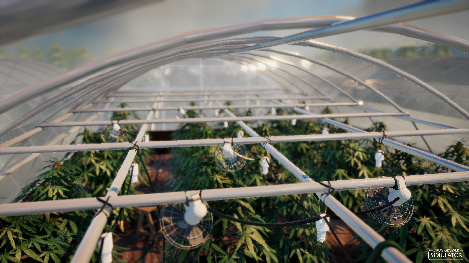 Drug Grower Simulator screenshot 2