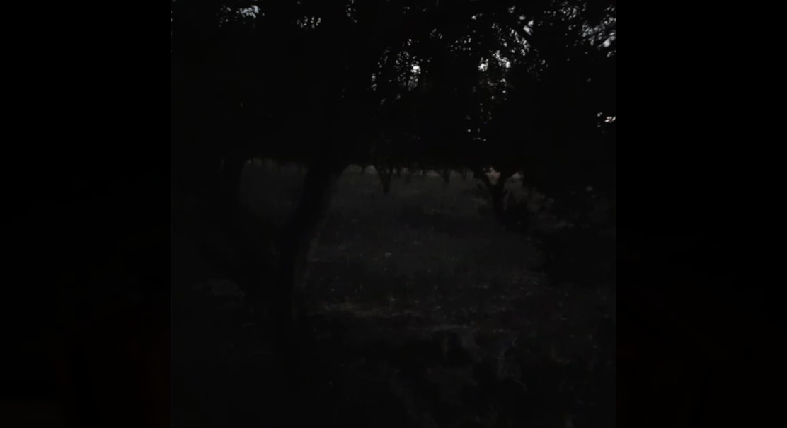 KaraDedeler 1989 screenshot 10