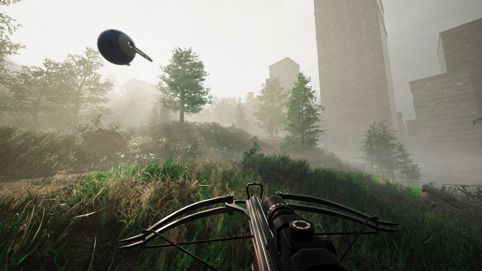 Remoteness screenshot 1