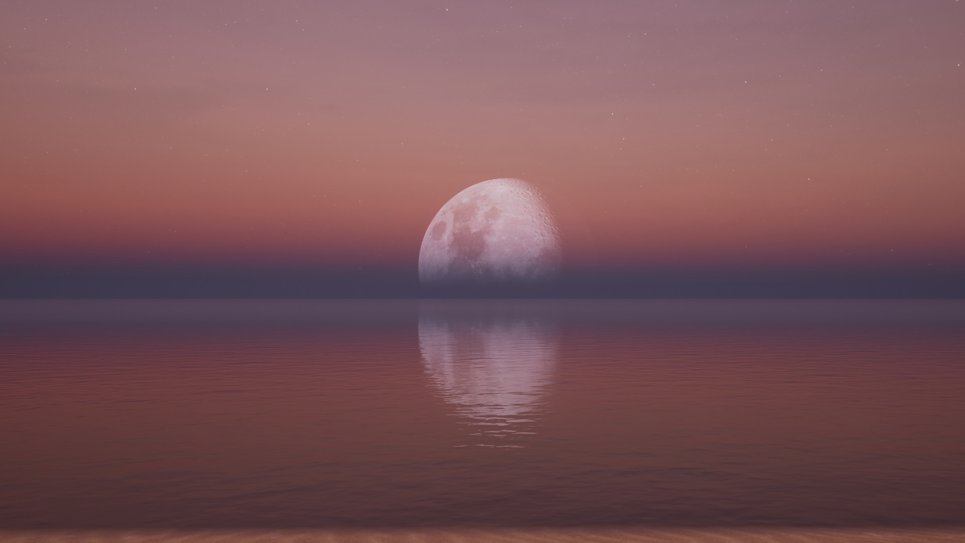 FleurBirdShoot screenshot 10