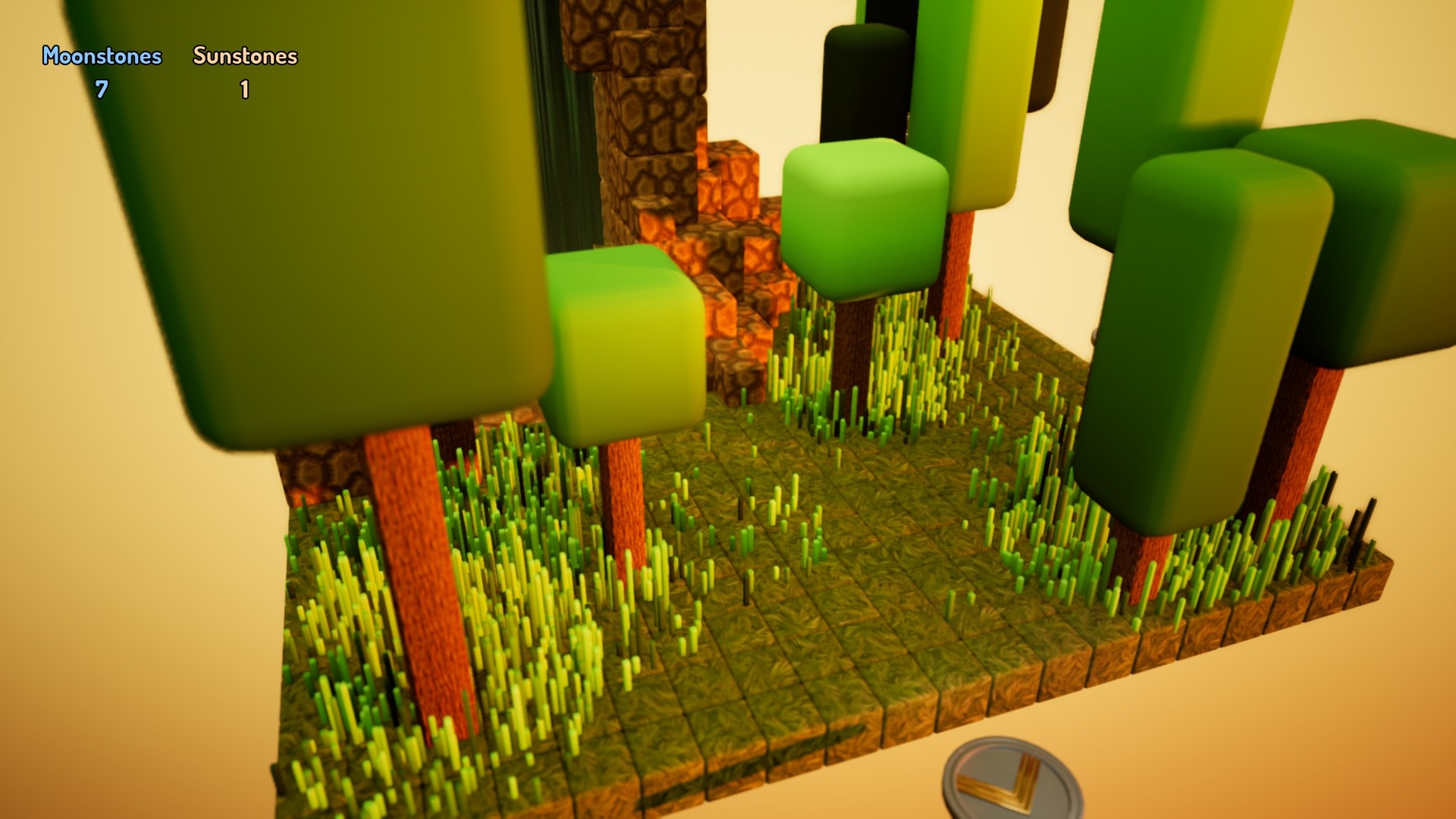 from view screenshot 5