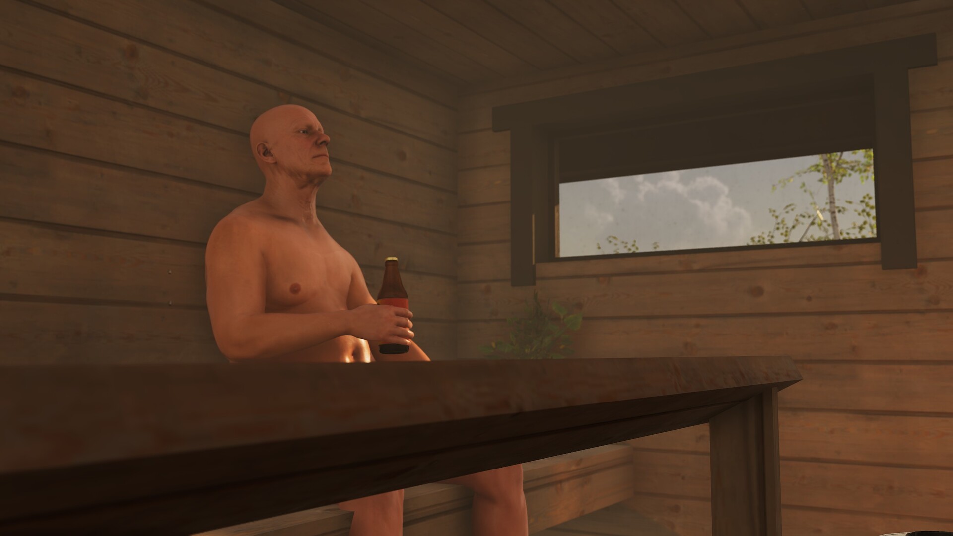 Finnish Cottage Simulator screenshot 2