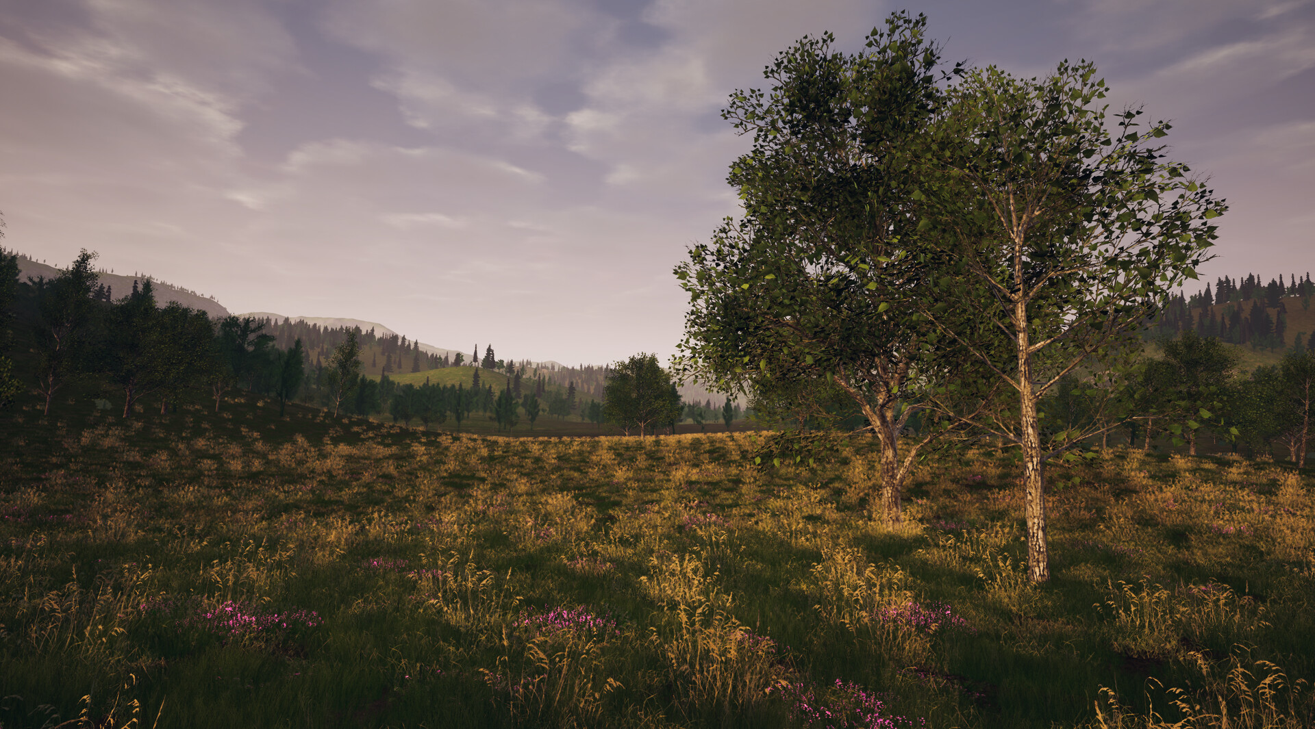 RFVR screenshot 12