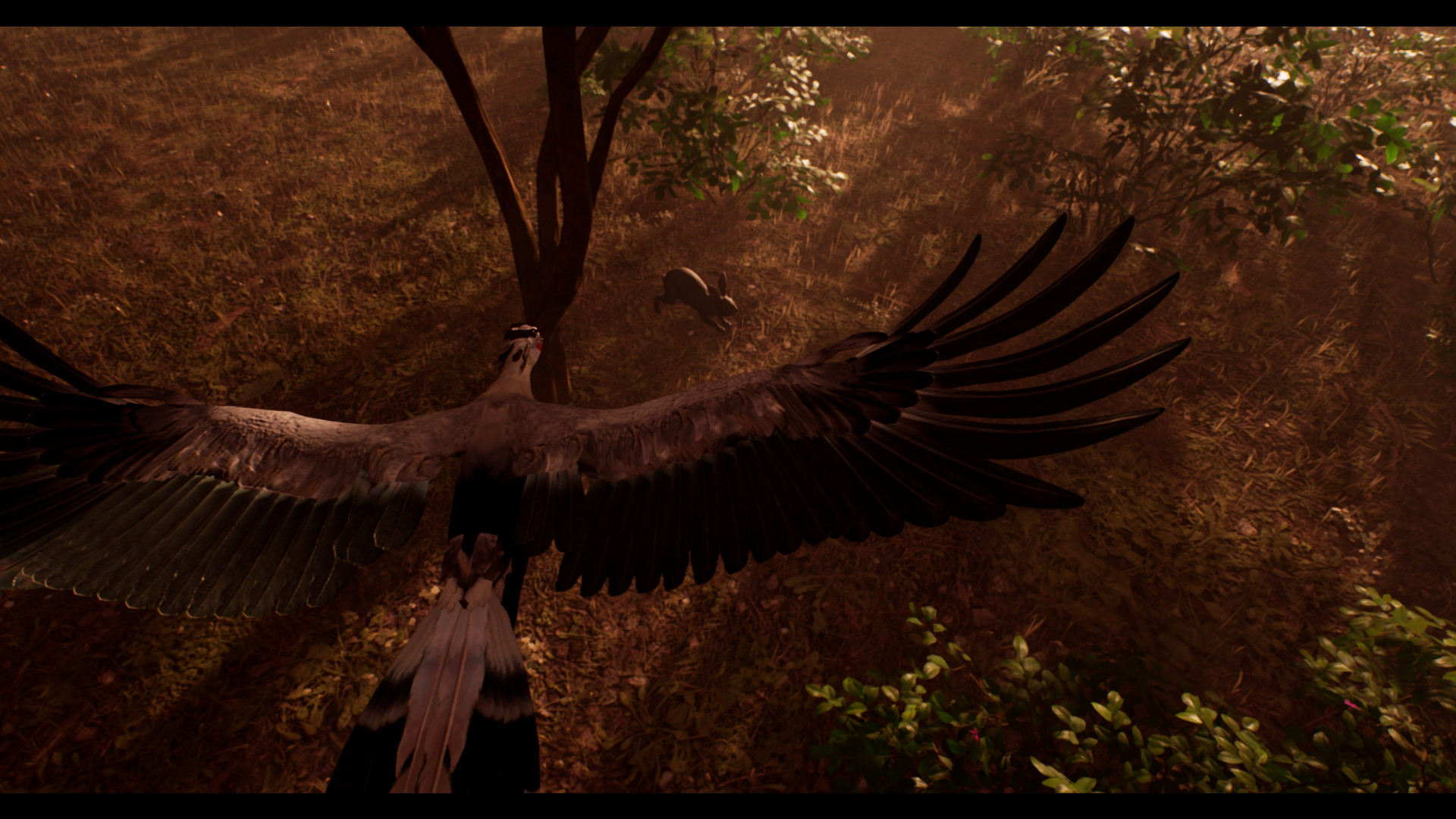 THE GREAT CIRCLE screenshot 4