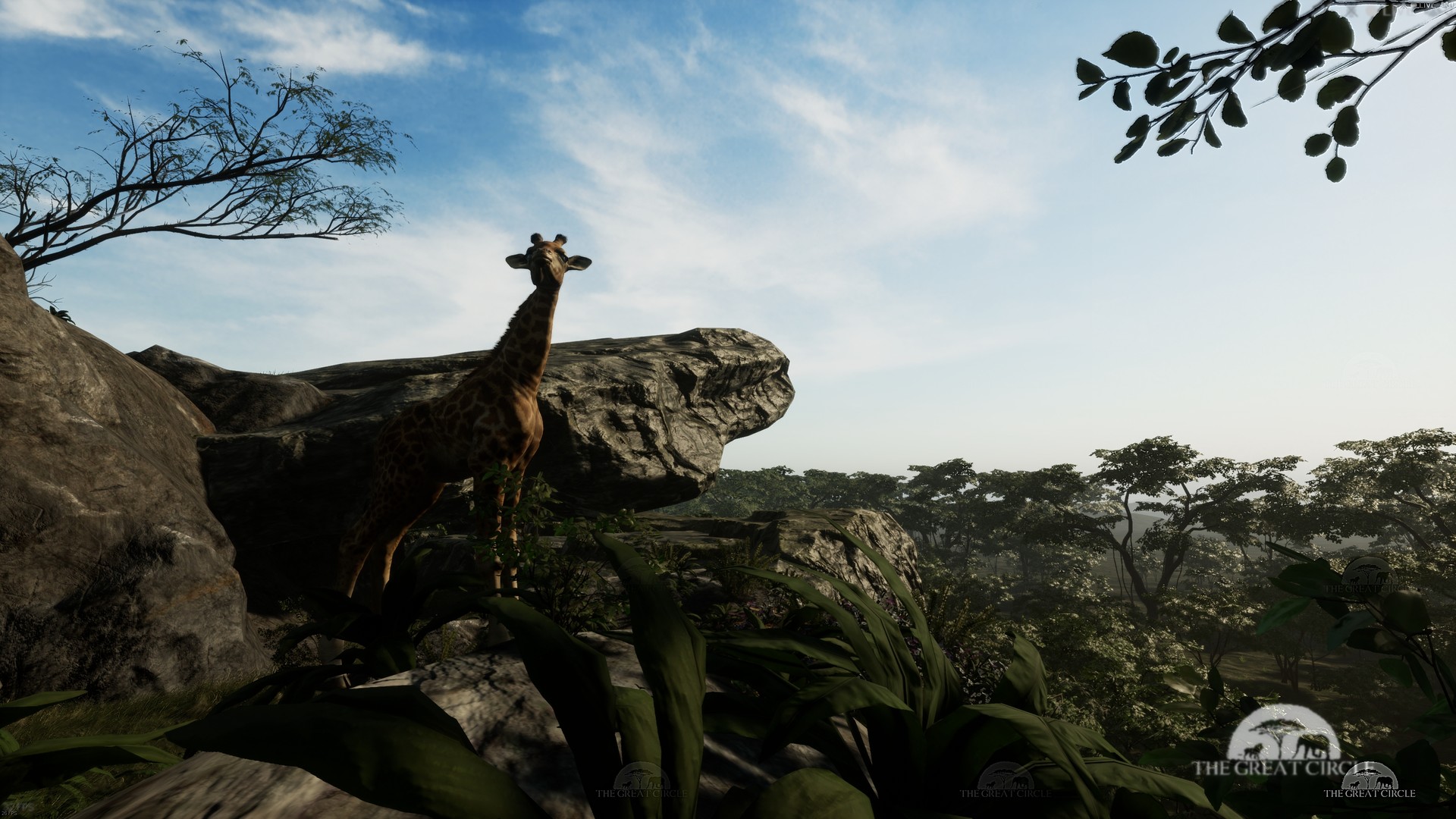 THE GREAT CIRCLE screenshot 14