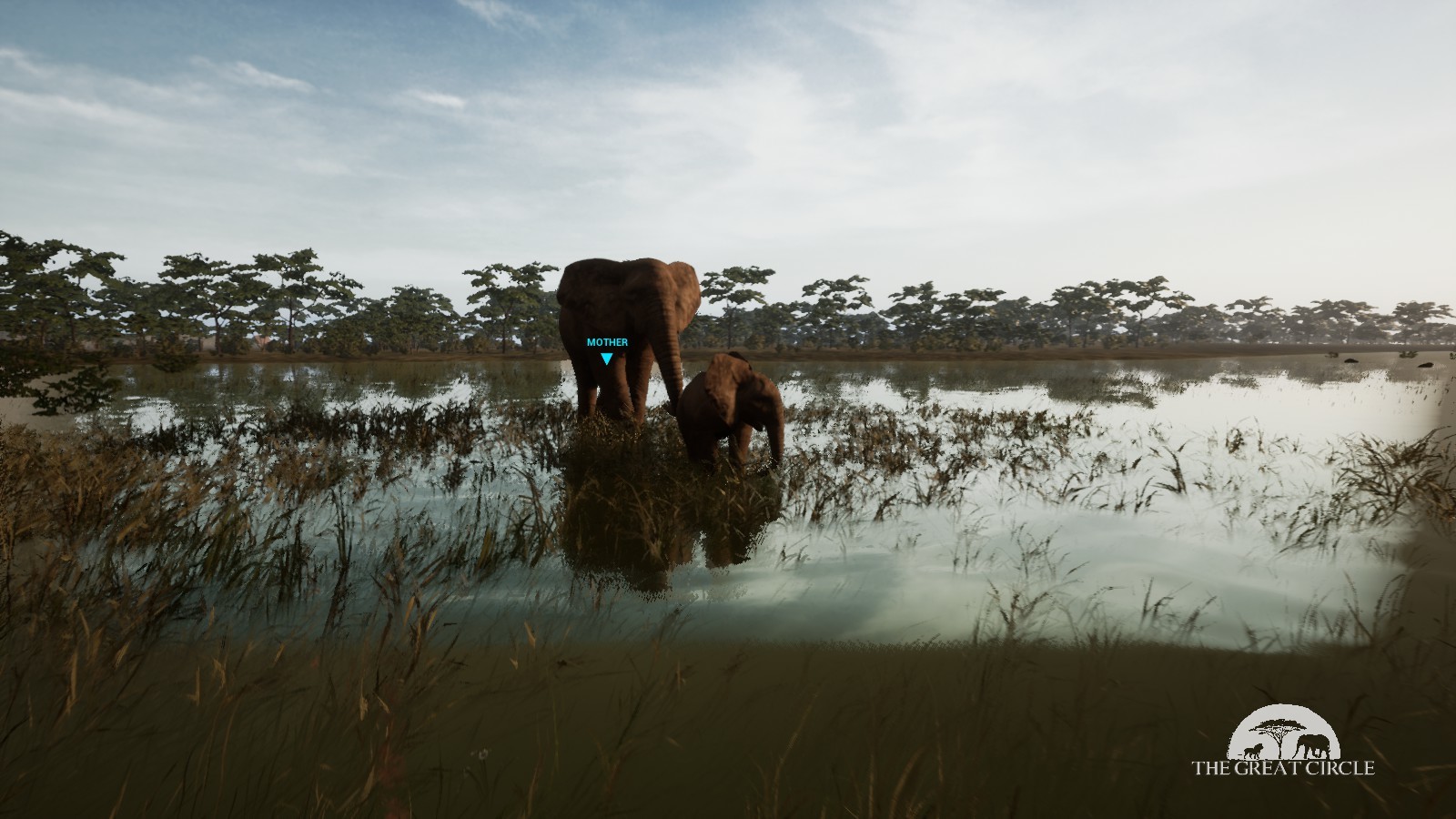 THE GREAT CIRCLE screenshot 5