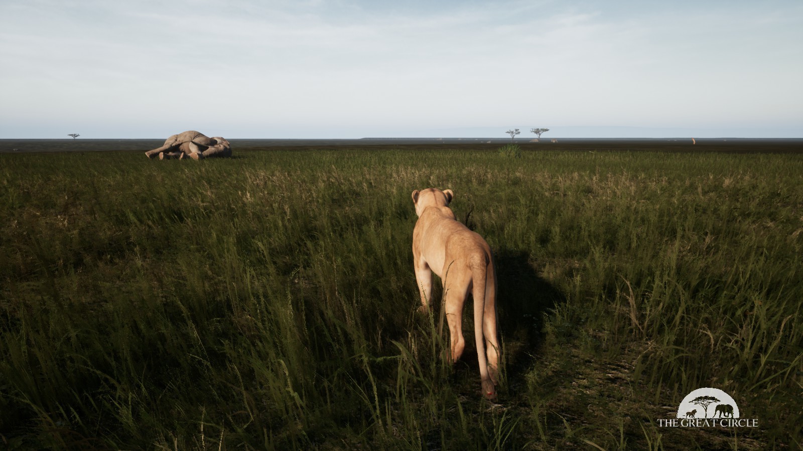 THE GREAT CIRCLE screenshot 3