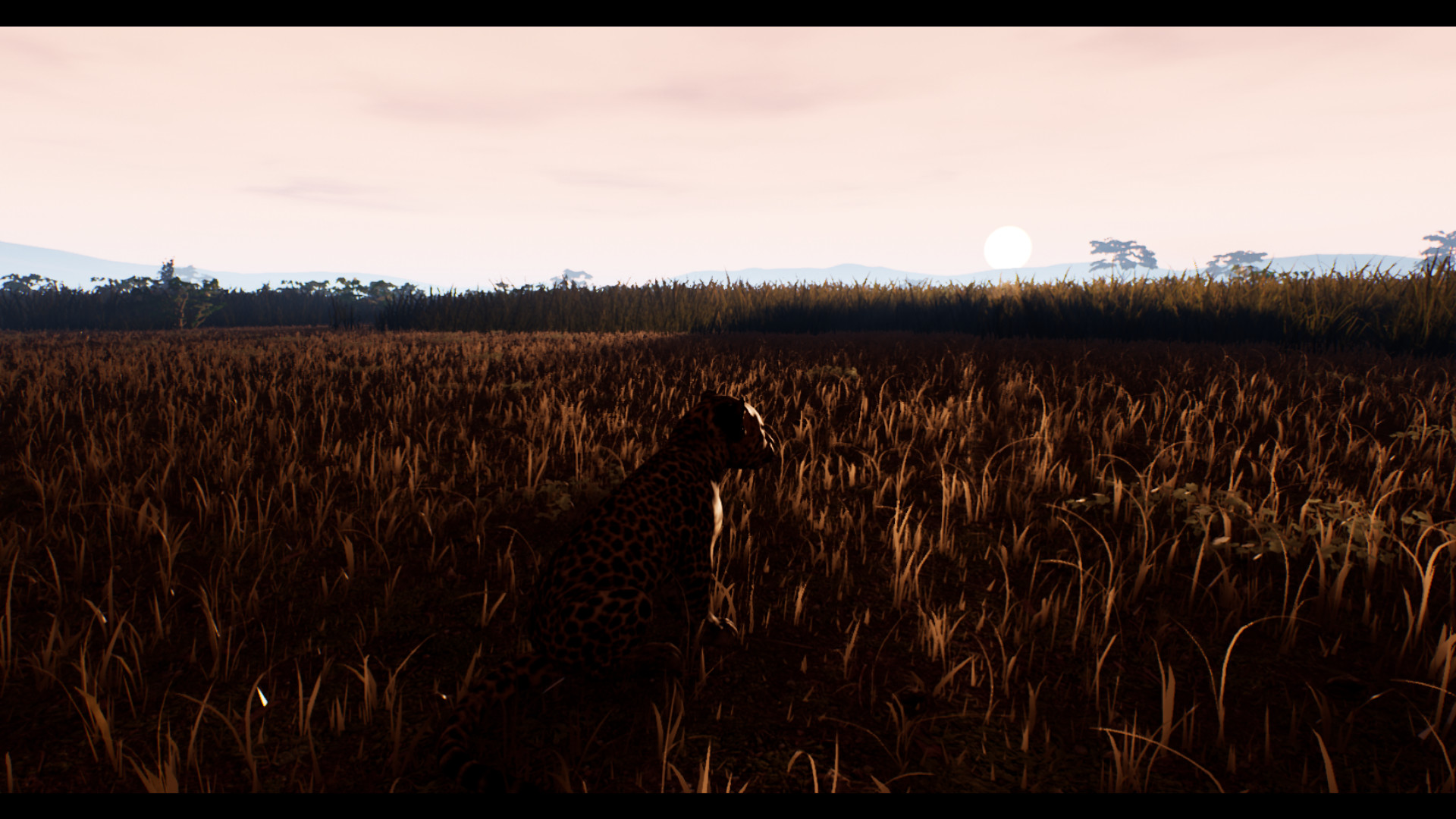 THE GREAT CIRCLE screenshot 6