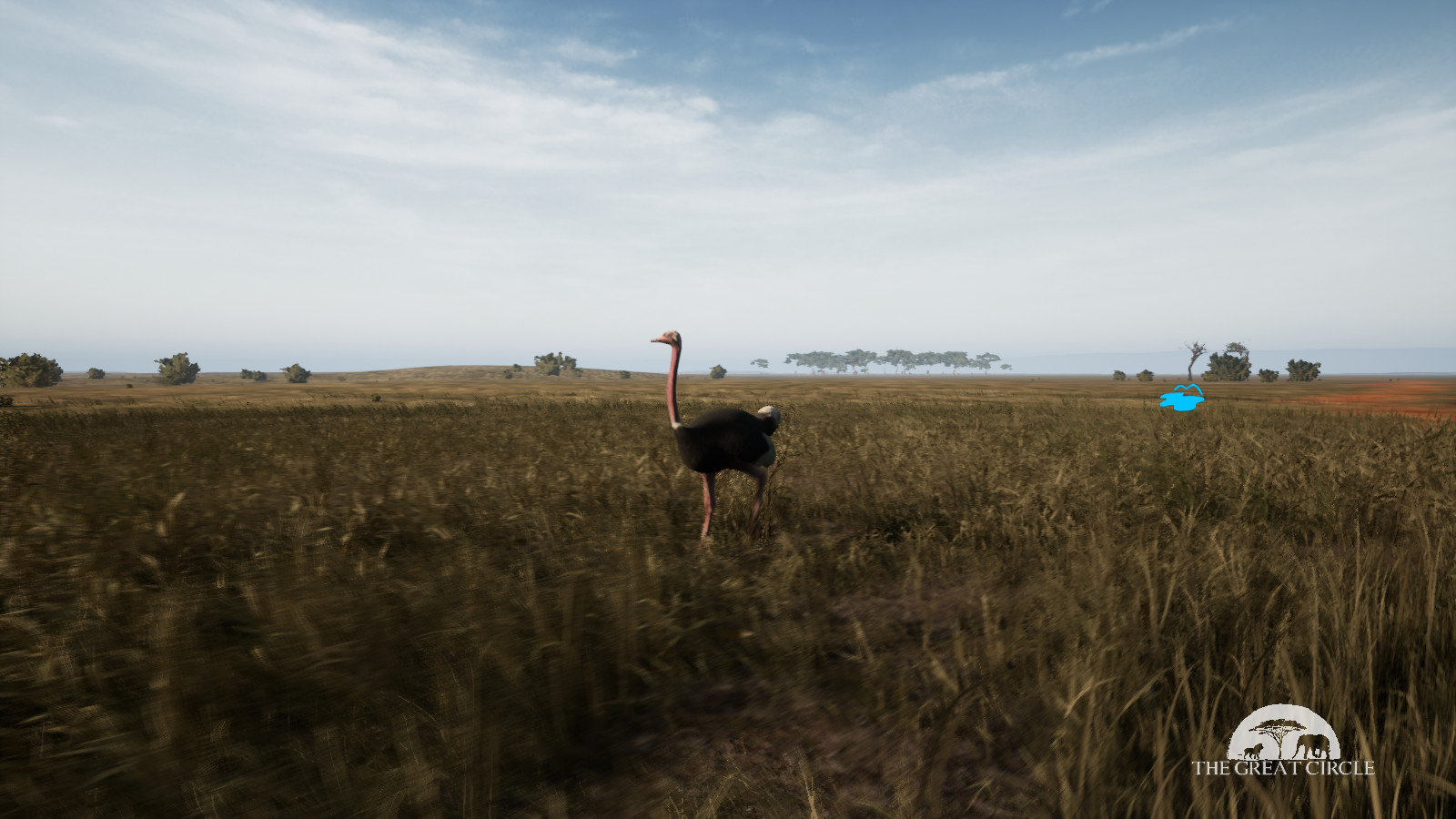 THE GREAT CIRCLE screenshot 17