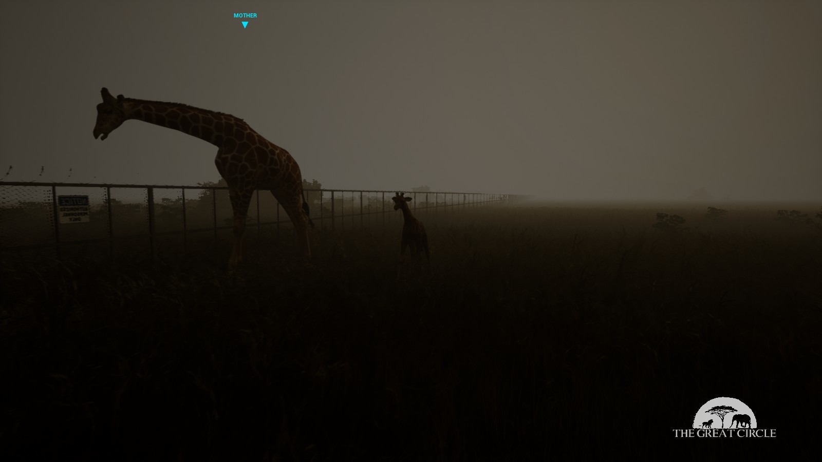 THE GREAT CIRCLE screenshot 19