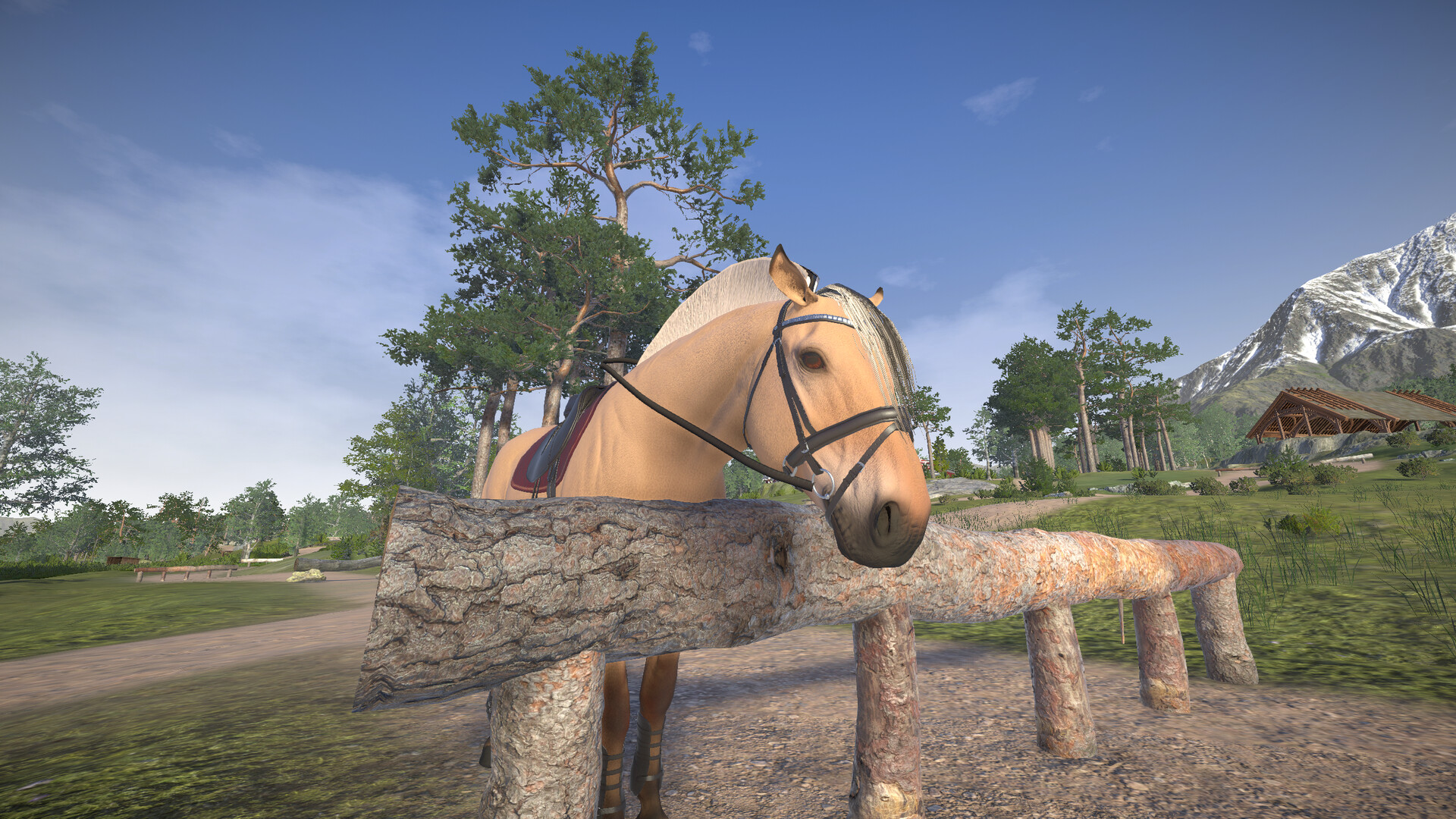 Astride screenshot 23