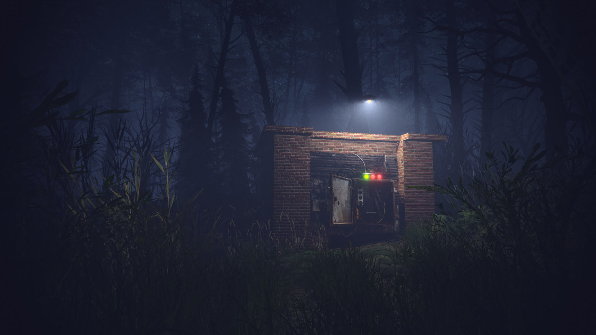 Light, Dark or Hrak? screenshot 4