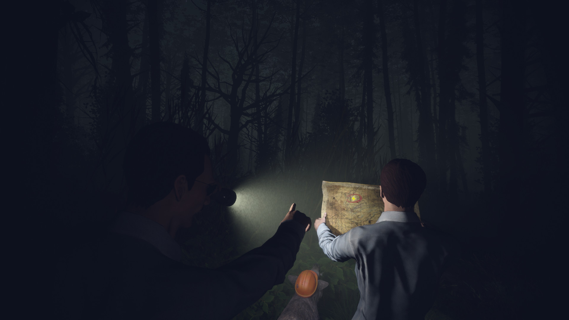 Light, Dark or Hrak? screenshot 1