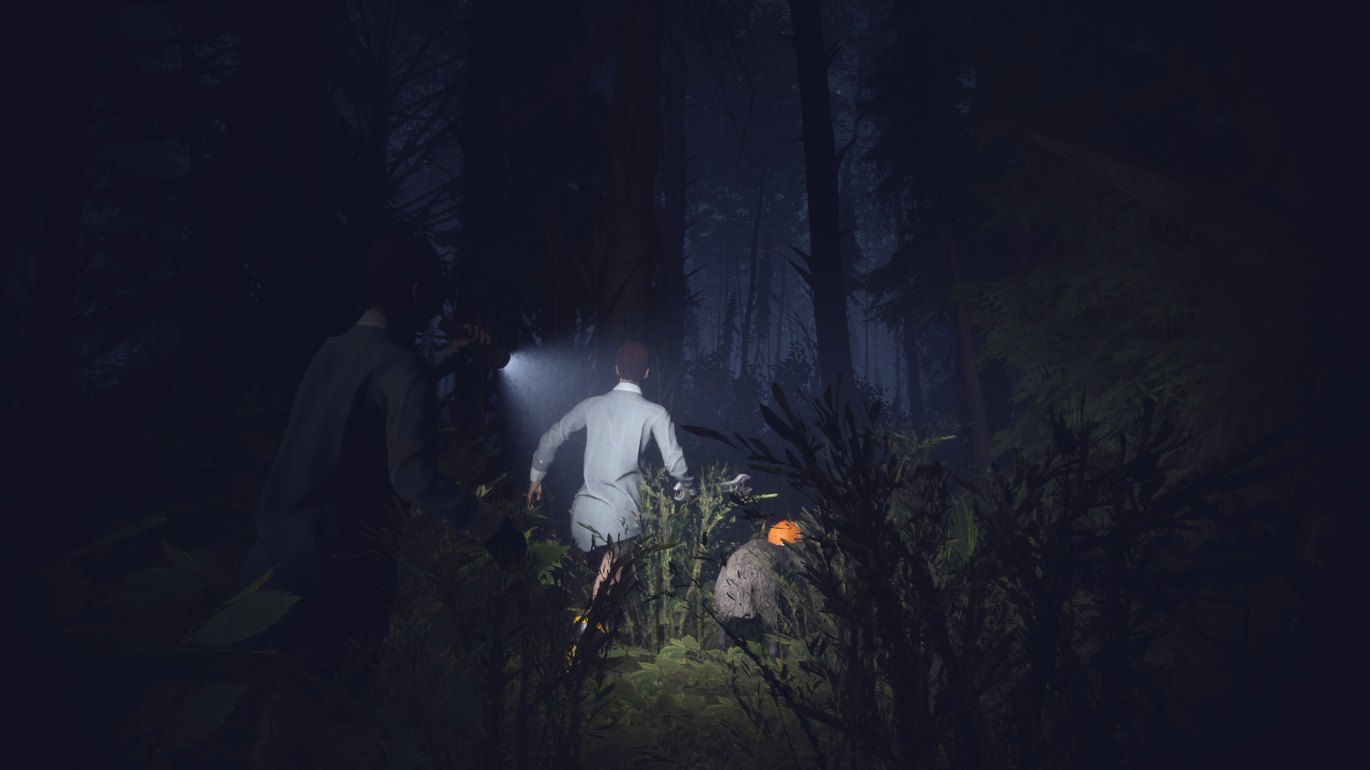 Light, Dark or Hrak? screenshot 5