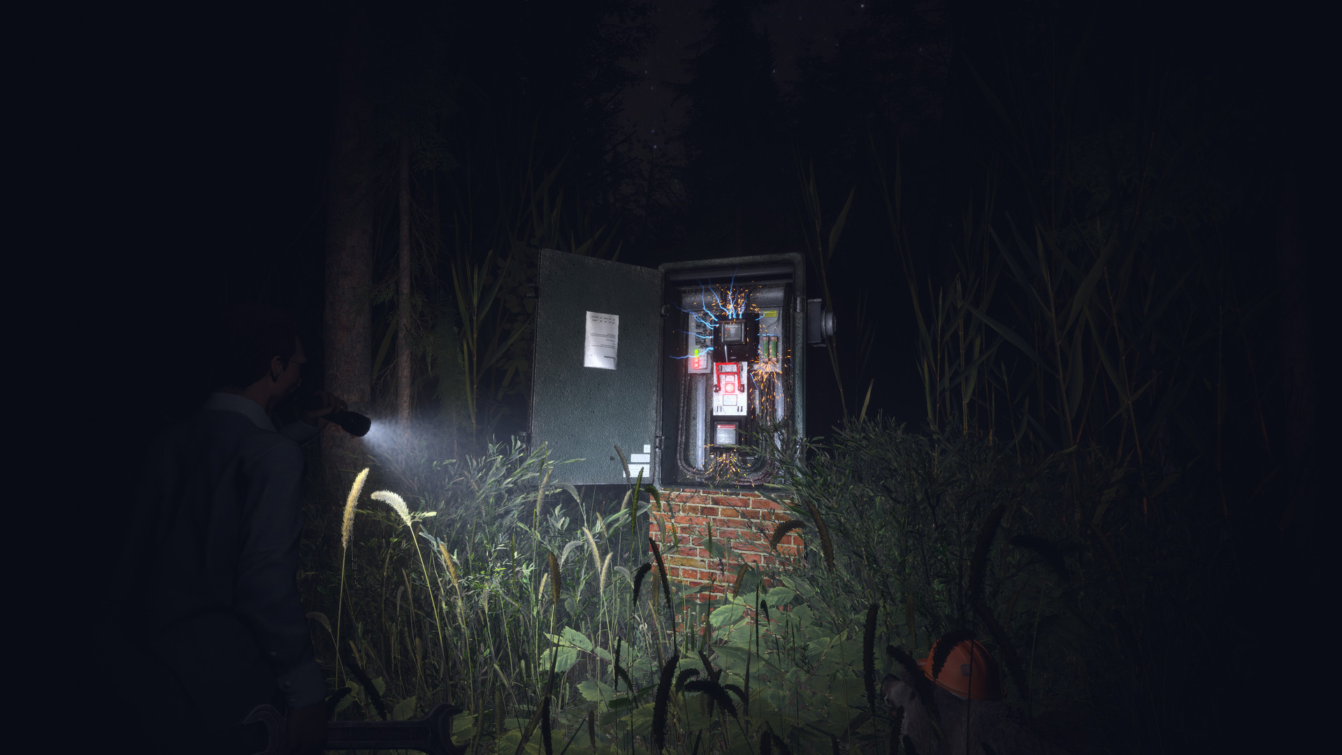 Light, Dark or Hrak? screenshot 8