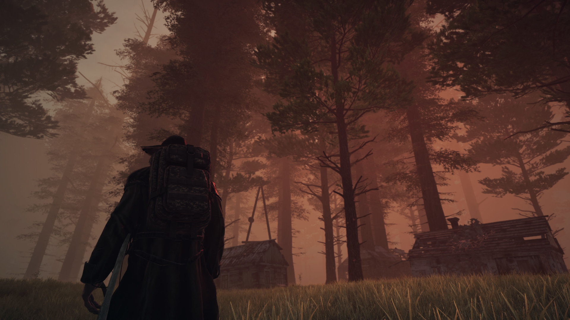 Paragrowth screenshot 4