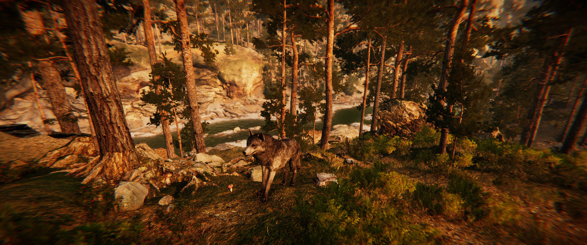 Animal Simulator screenshot 12