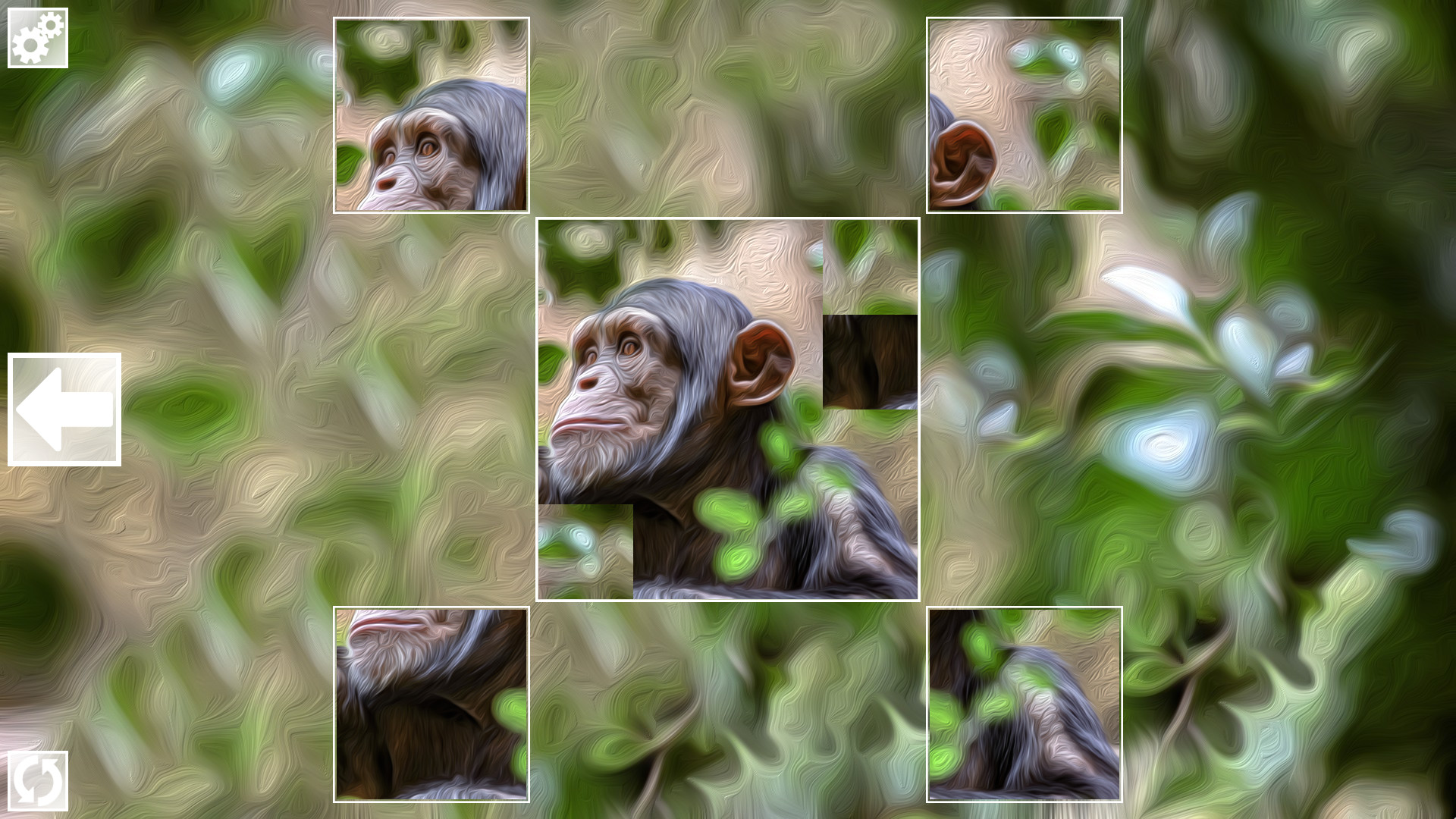 Puzzle Art: Primates screenshot 1