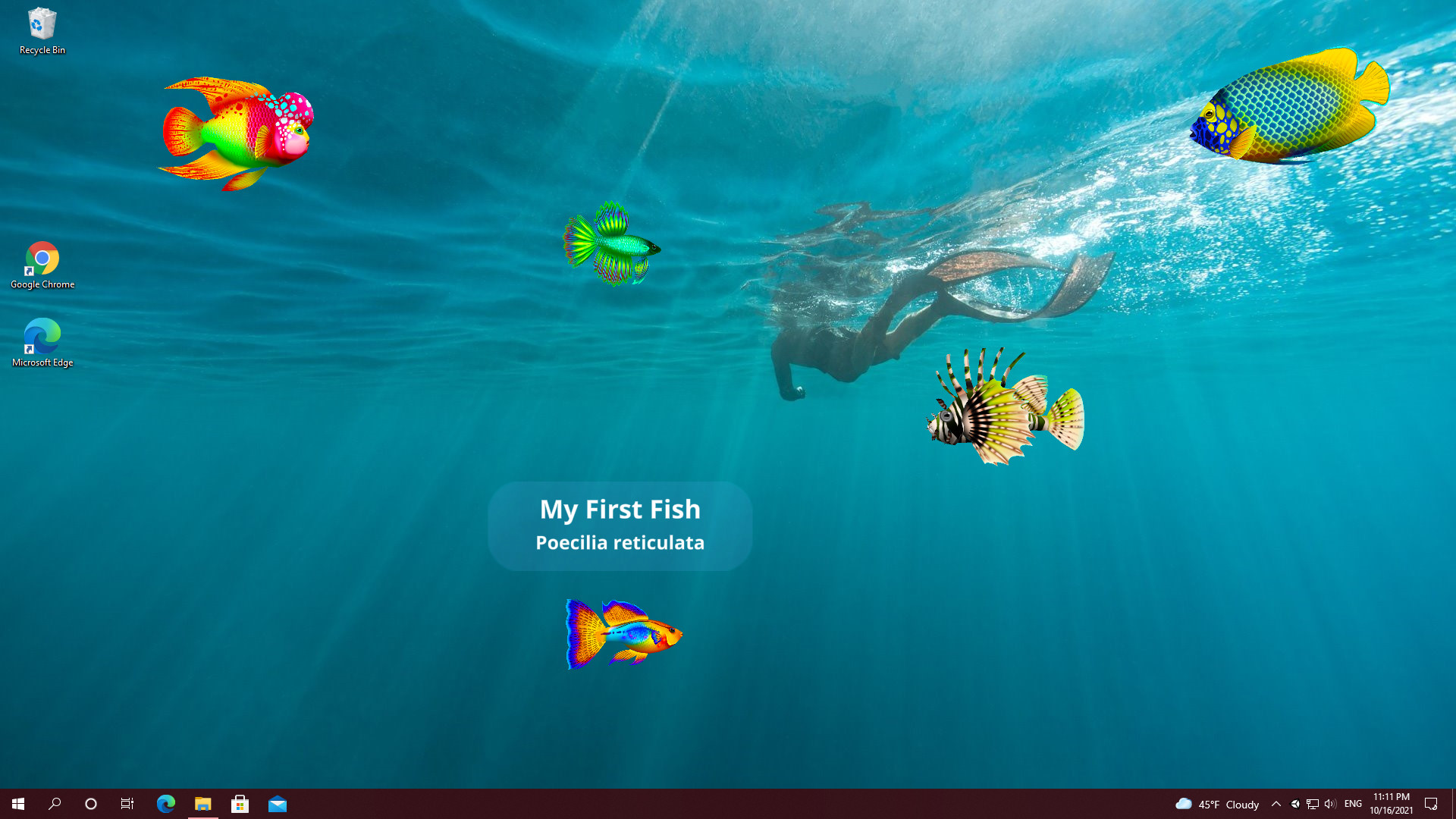 Virtual Aquarium - Overlay Desktop Game screenshot 1