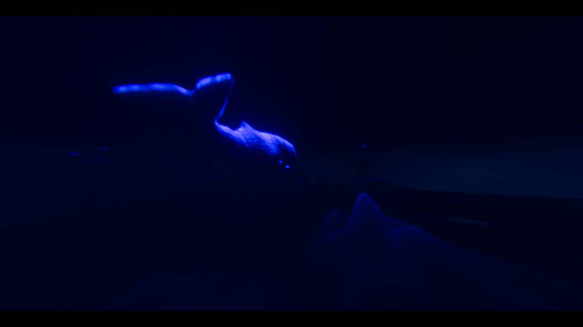 Broken screenshot 7