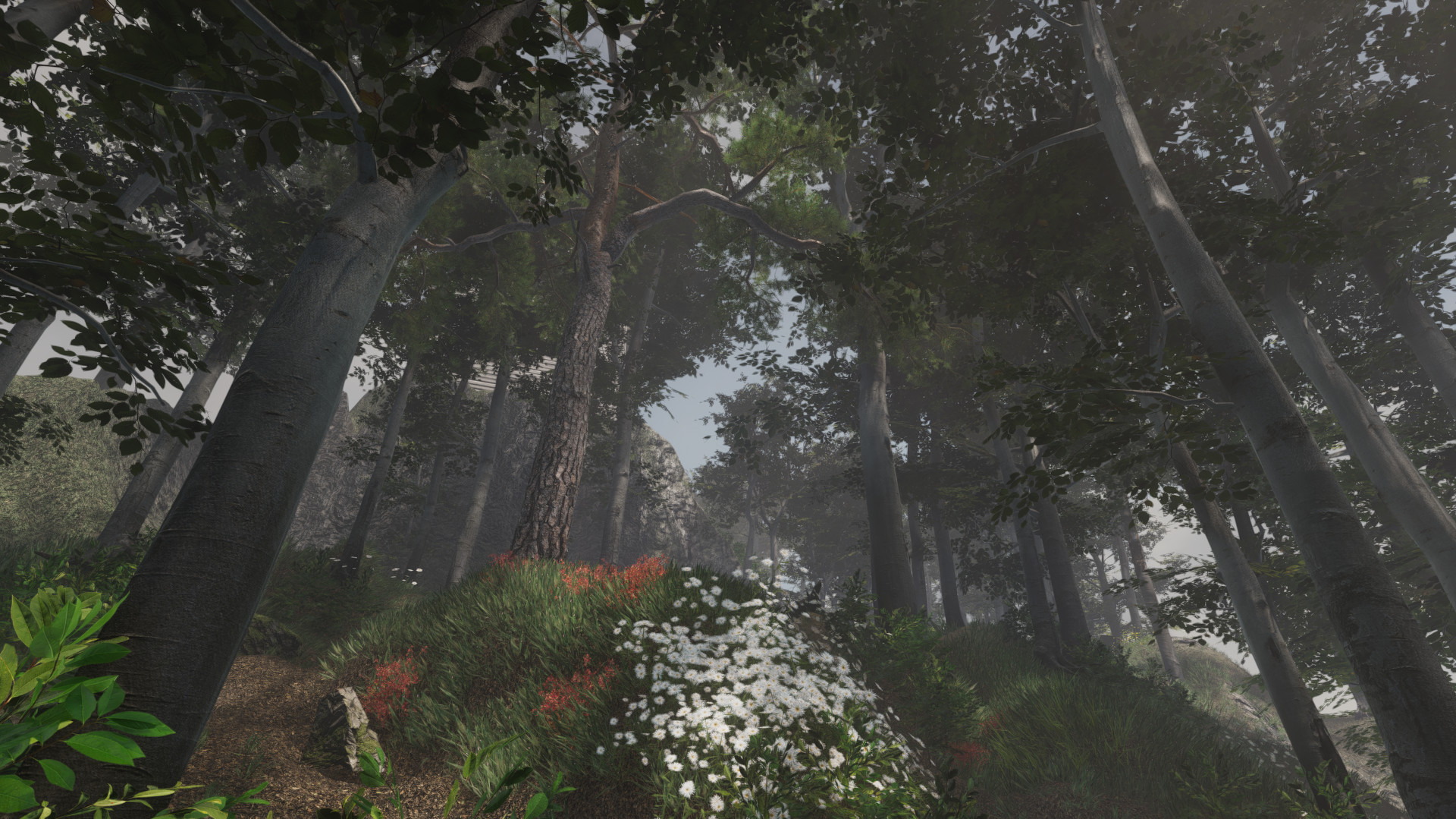 Broken screenshot 4