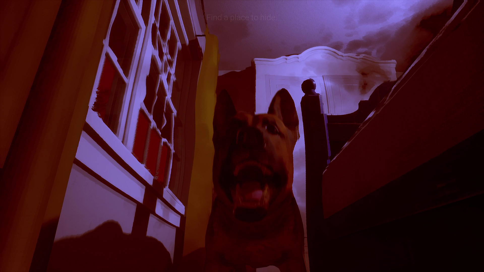 BARK screenshot 17
