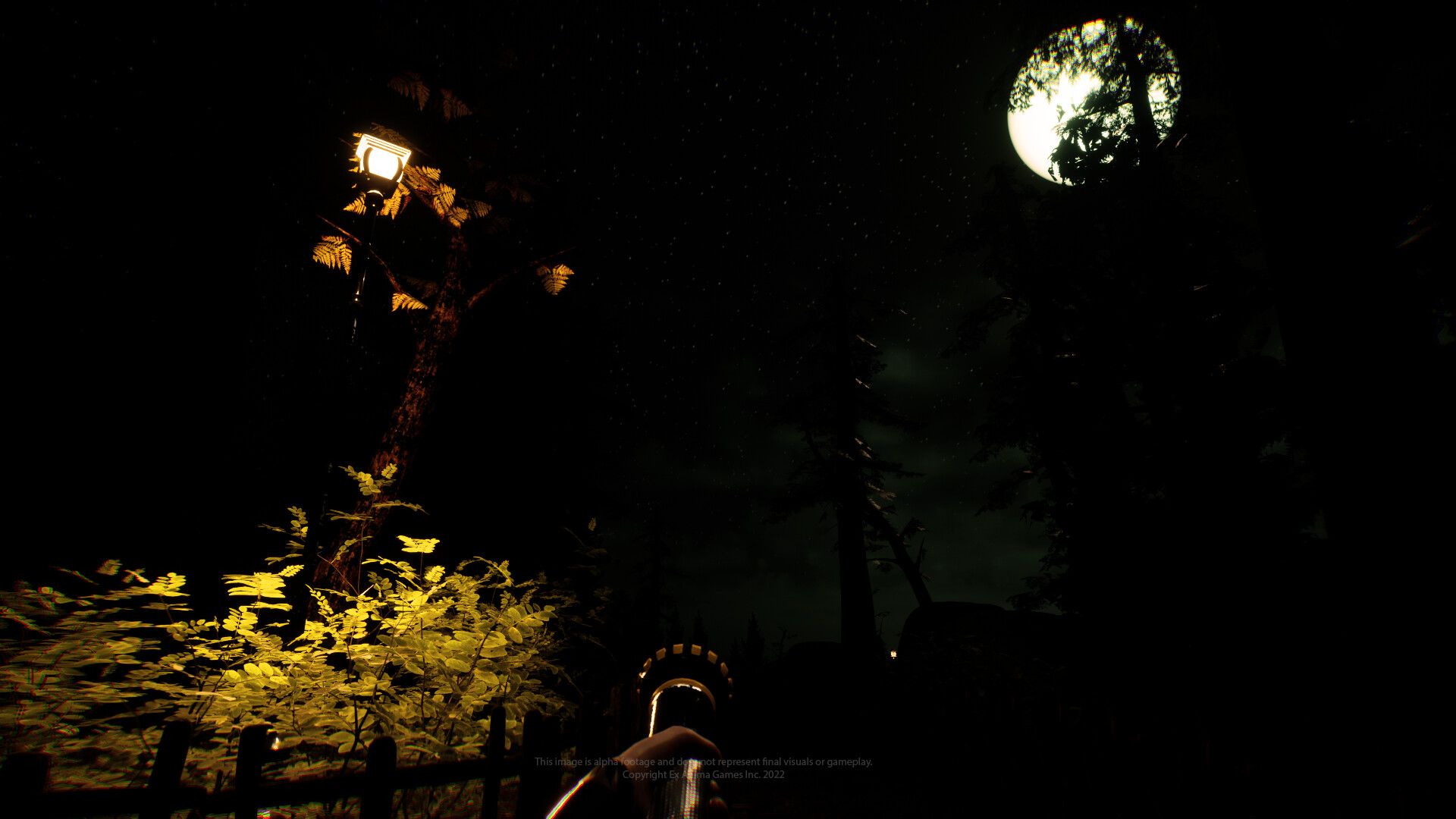 Schwarzwald screenshot 8