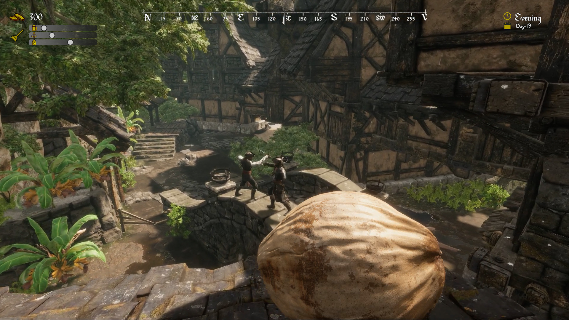 Pirate's Den Renovator screenshot 6