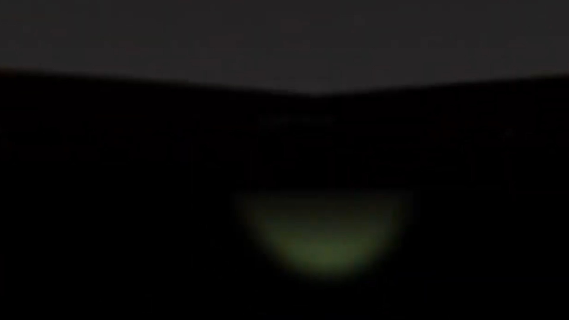 The Creature Zone VR screenshot 2