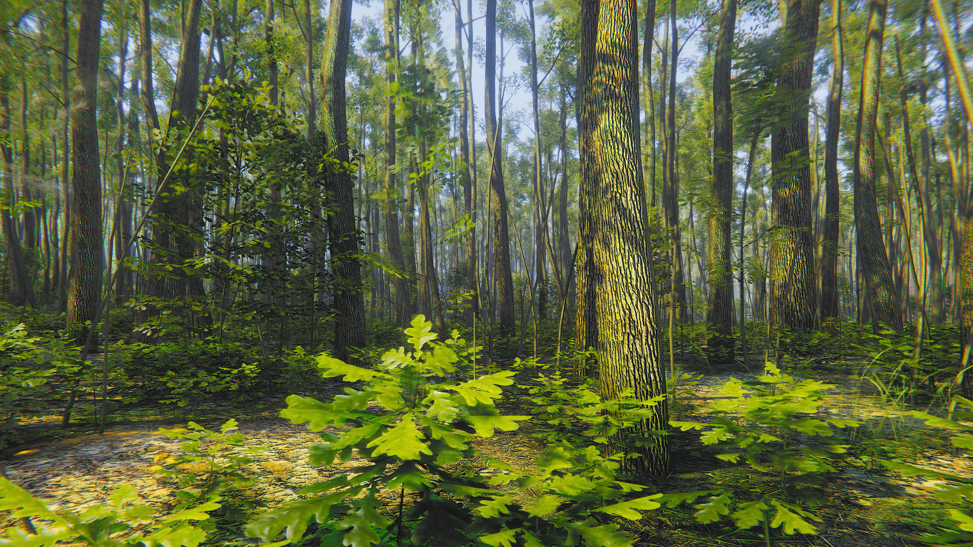 Mindfulness Simulator - ASMR Meditation Game screenshot 23