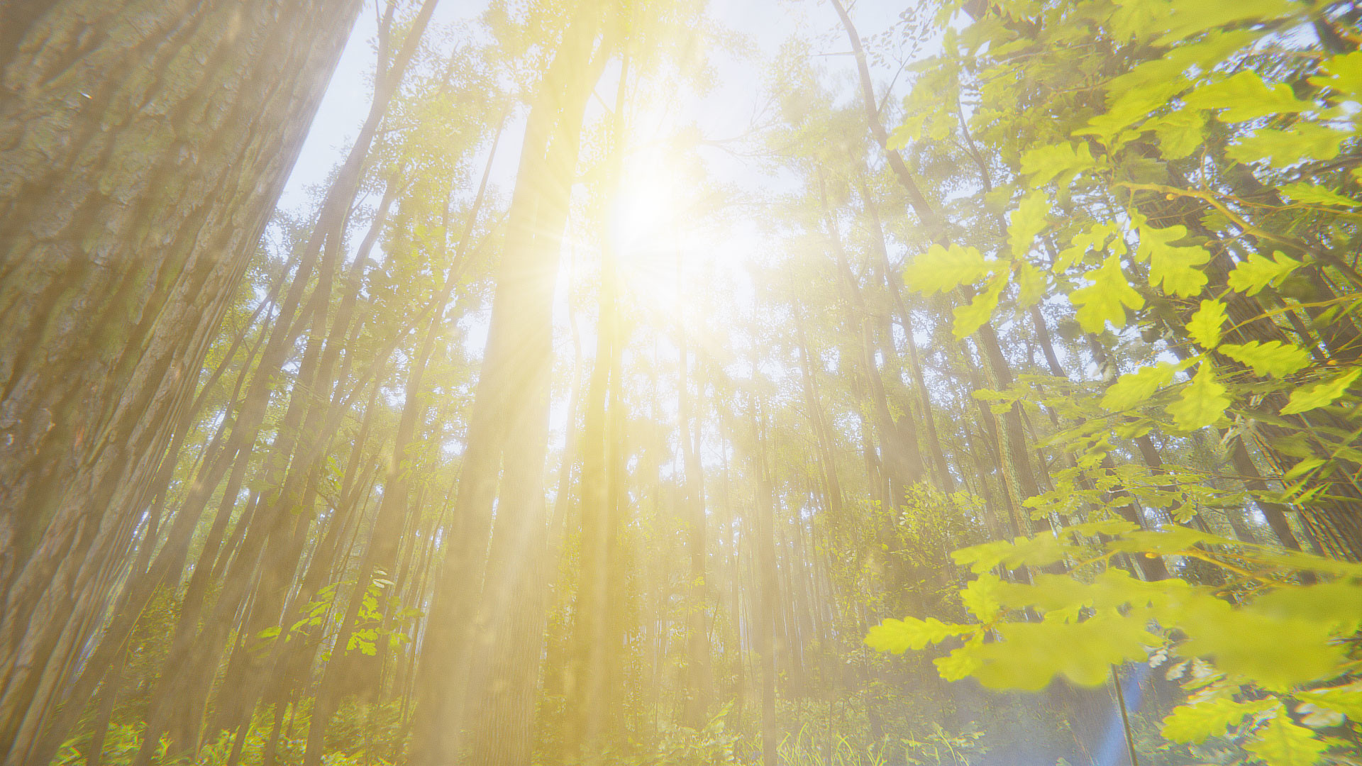Mindfulness Simulator - ASMR Meditation Game screenshot 16