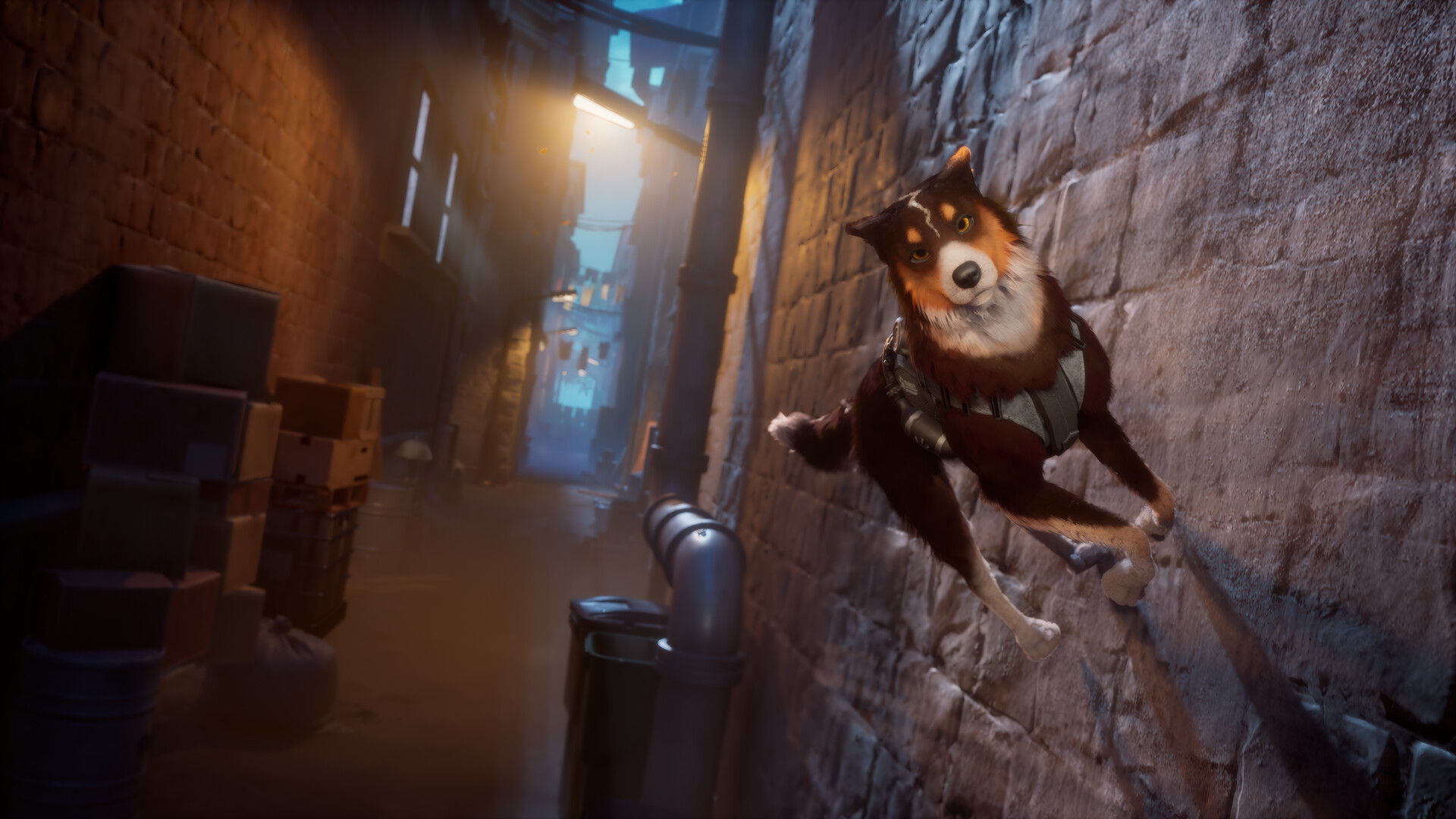 Barkour screenshot 3