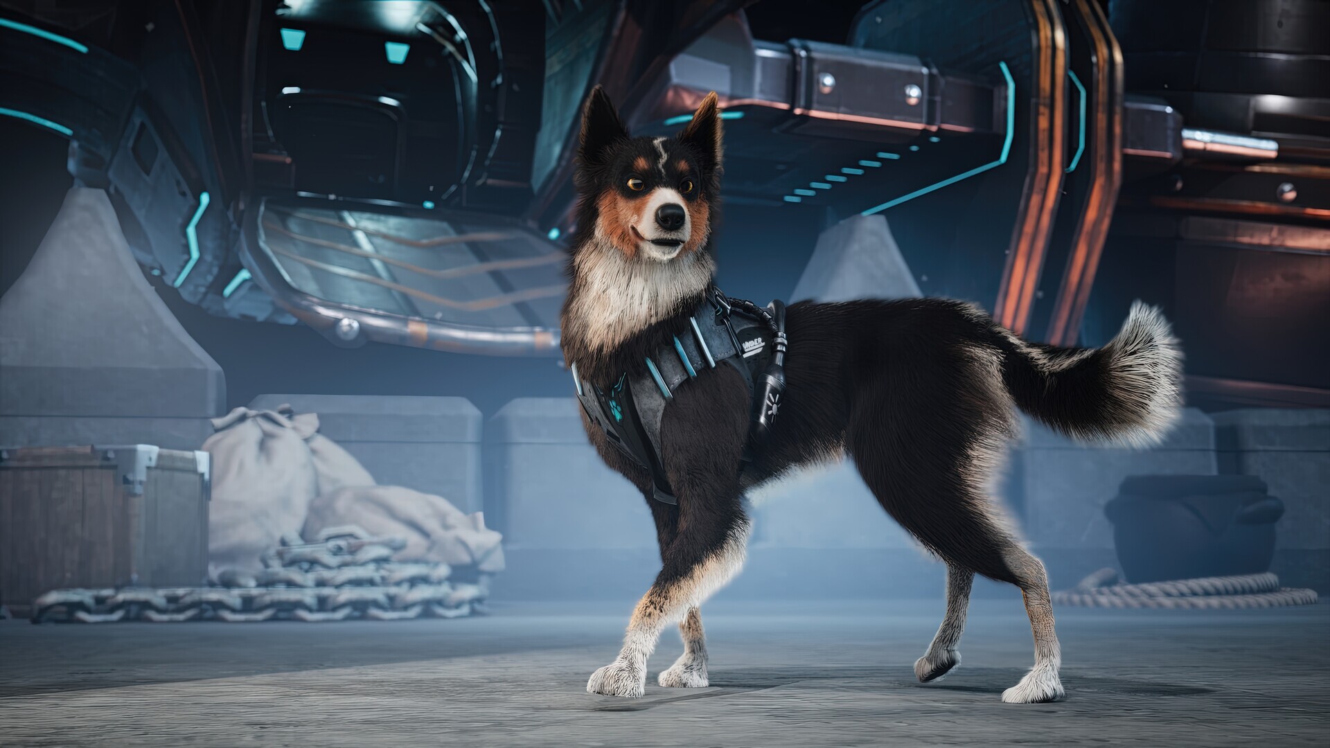 Barkour screenshot 2