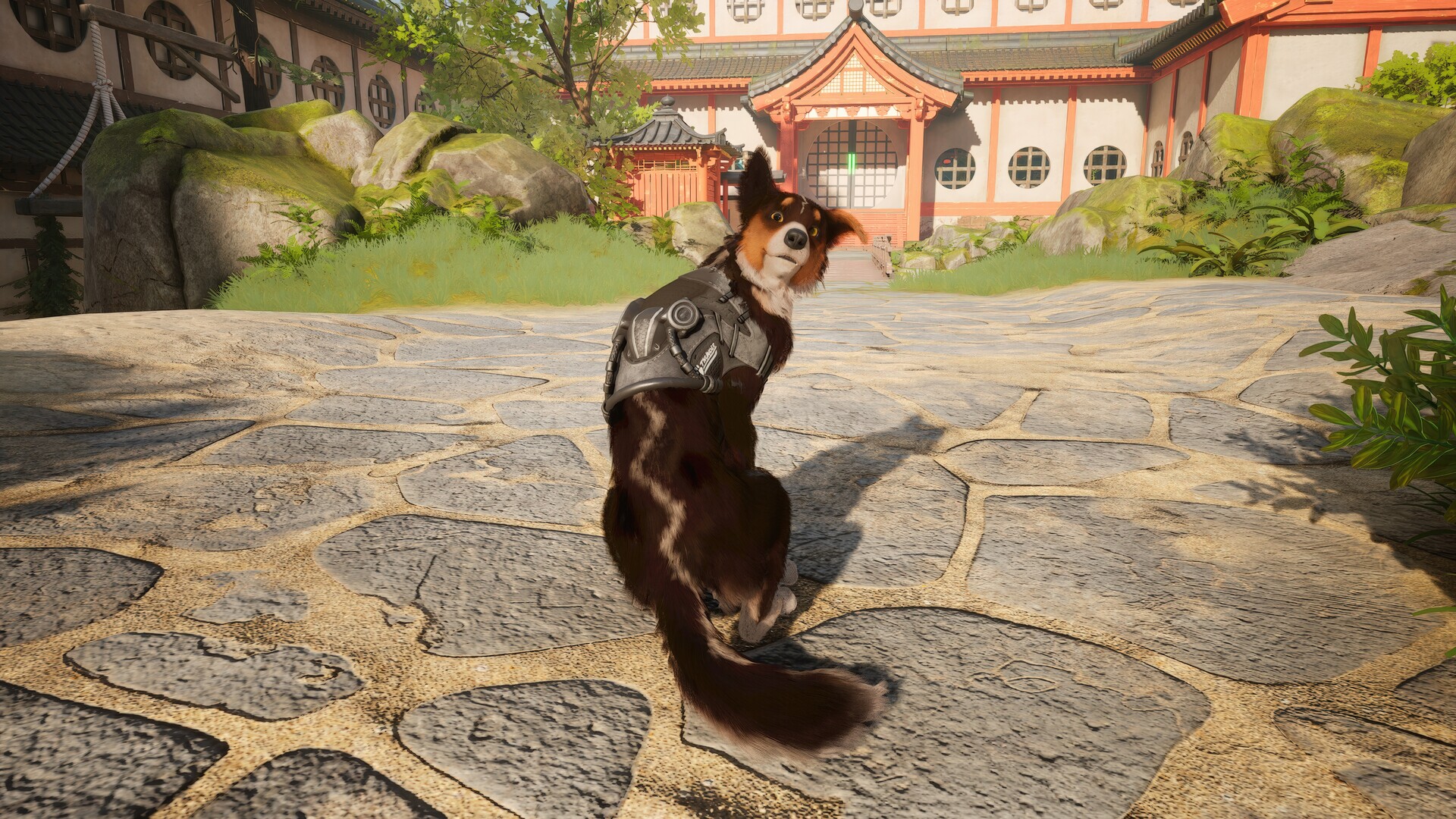 Barkour screenshot 11