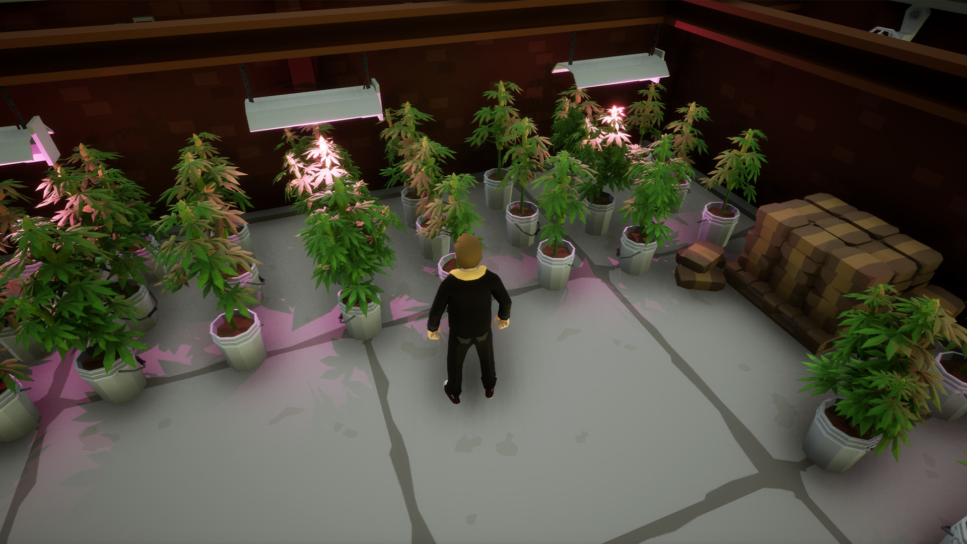 Top Town screenshot 5