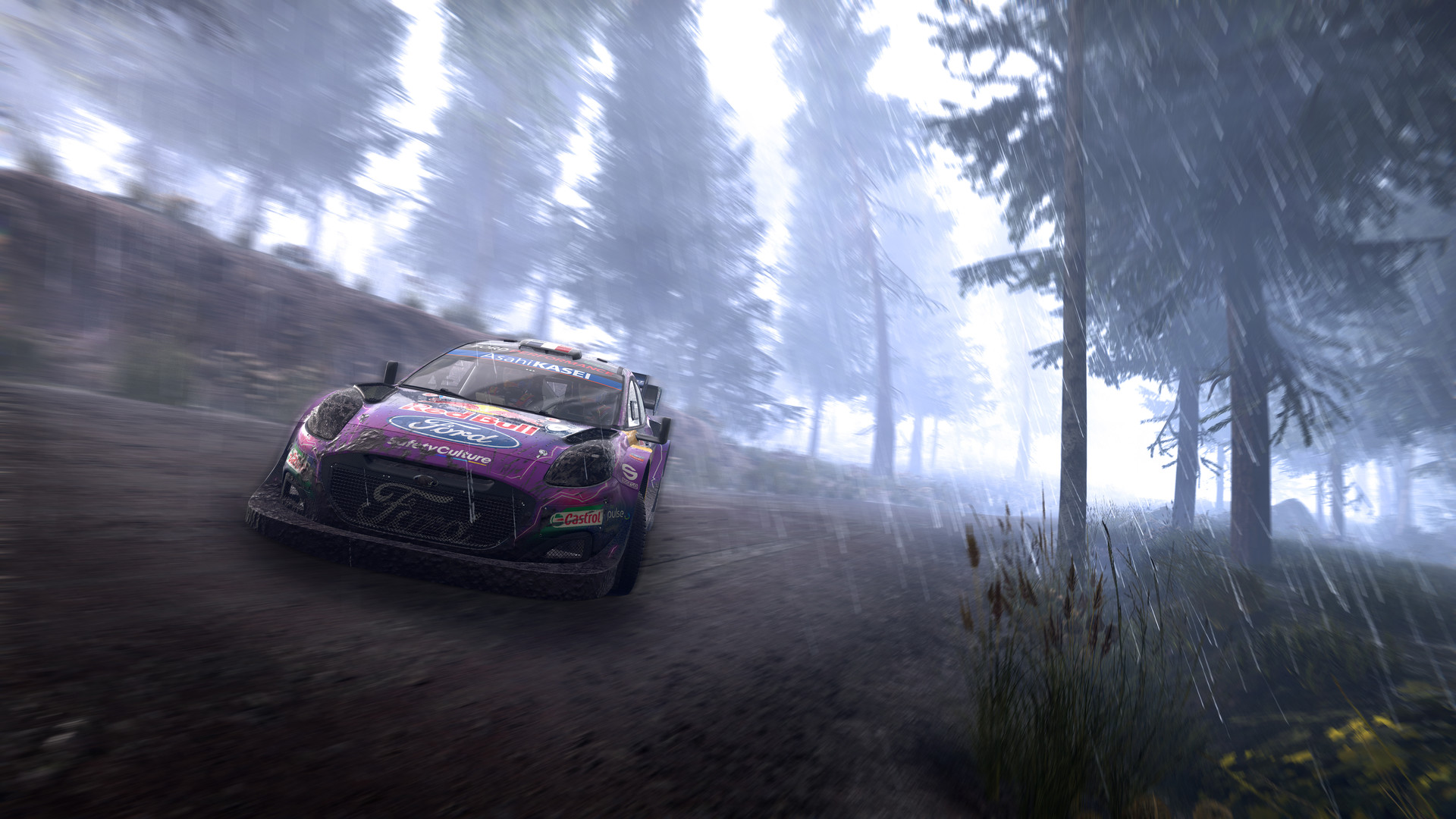WRC Generations – The FIA WRC Official Game screenshot 2