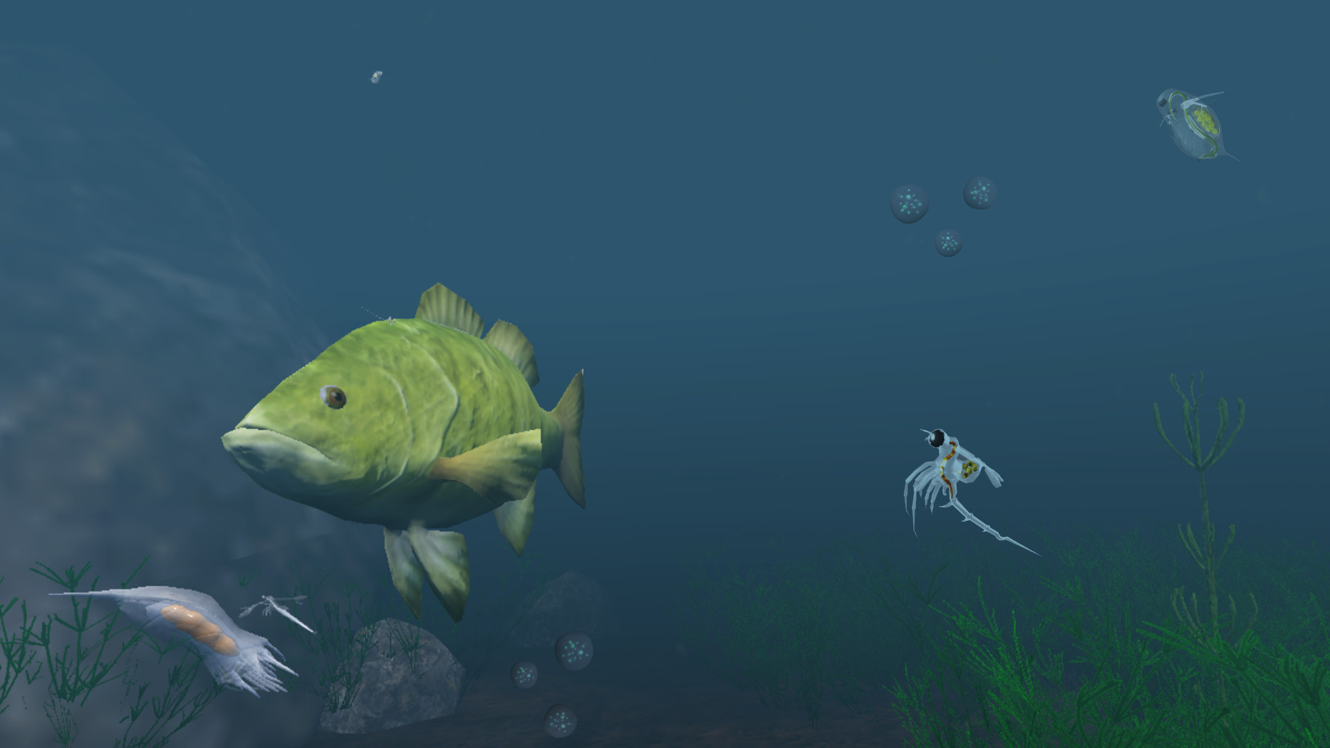 The Aquatic Messenger screenshot 4