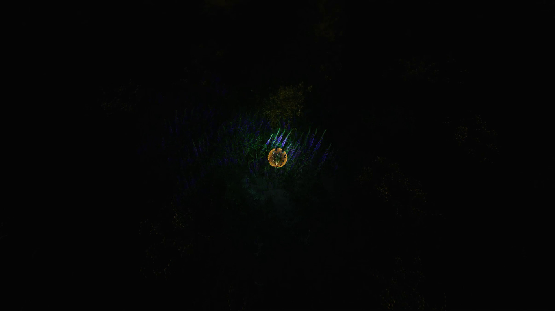 The Ball Flow - Nature and Light screenshot 15
