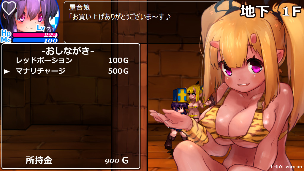 The Den of Chaos2 - 混沌の魔窟殿2~アッサマラームの遺跡編~ screenshot 5