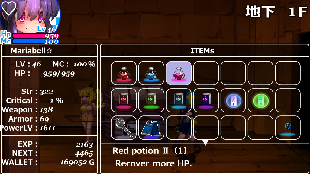The Den of Chaos2 - 混沌の魔窟殿２～アッサマラームの遺跡編～ screenshot 4