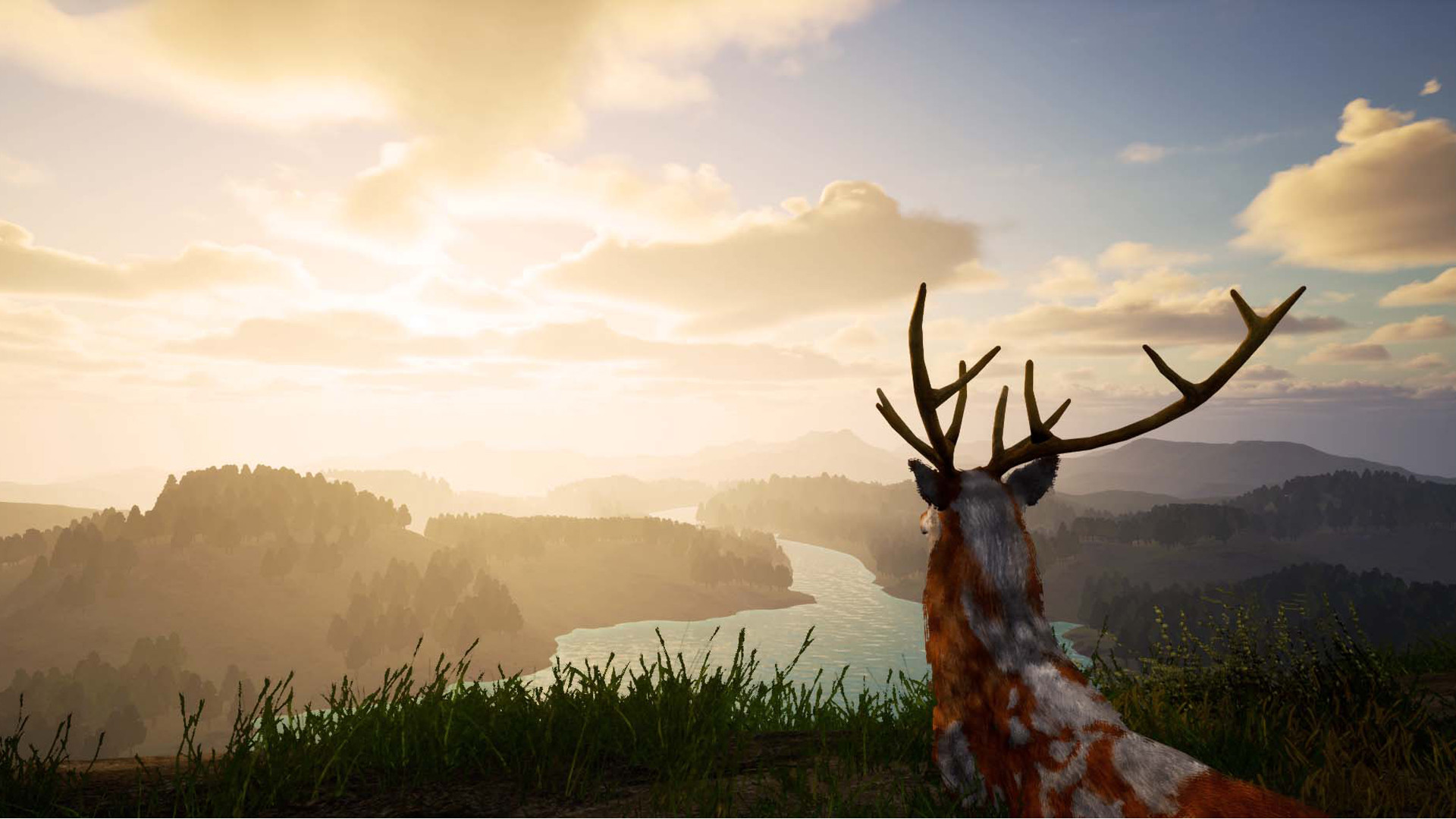 Deer Journey screenshot 6