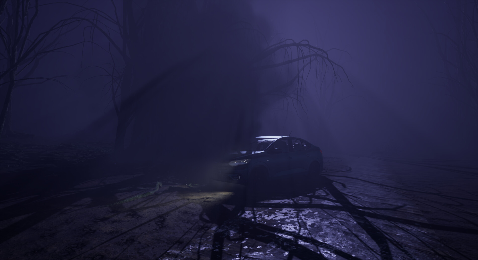 Tales From Hoia Baciu Forest screenshot 4