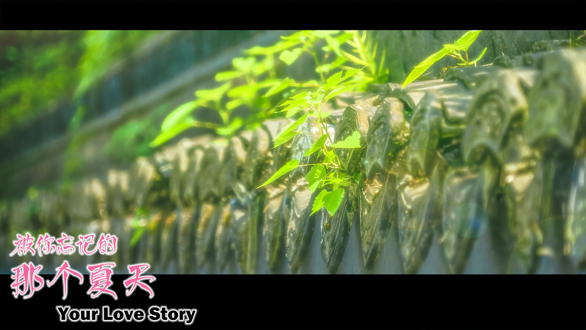 Your Love Story 被你忘记的那个夏天 screenshot 16