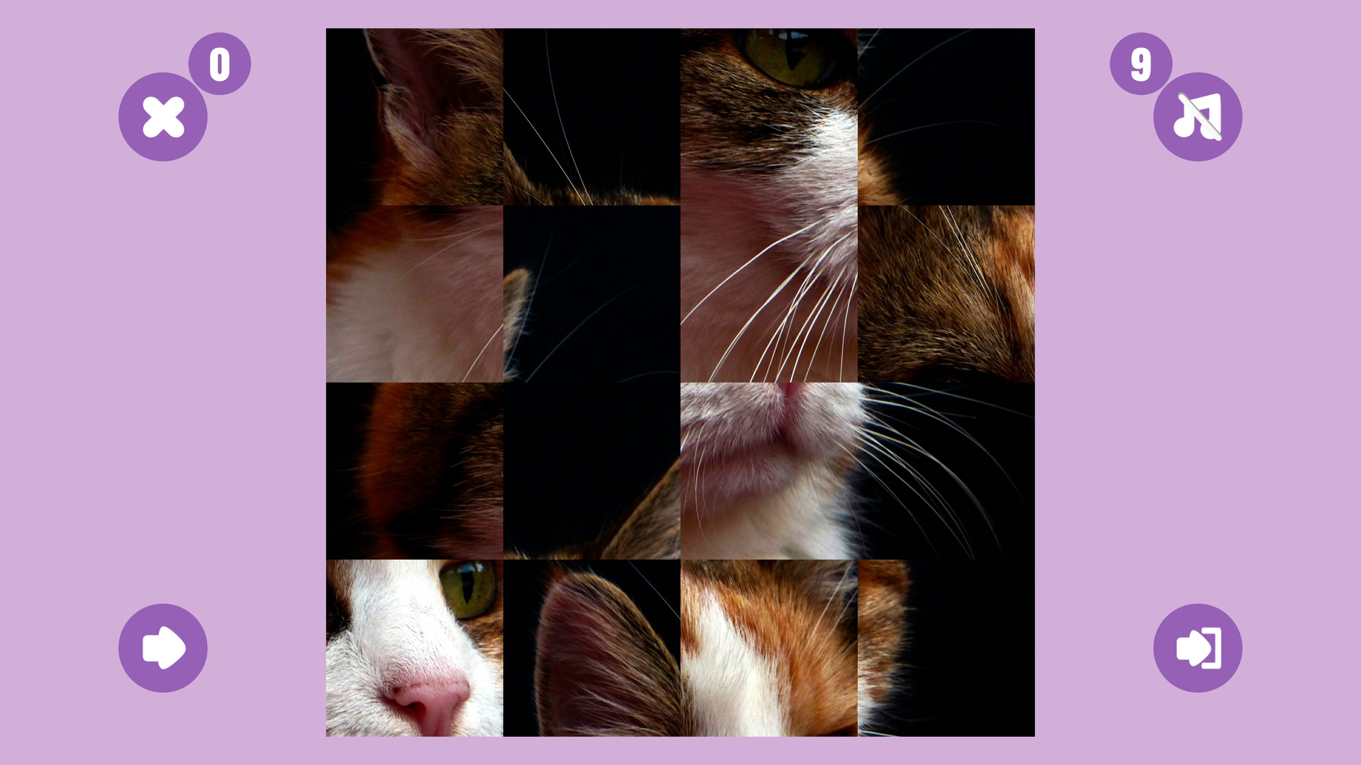 CAT GAME🐱 screenshot 1