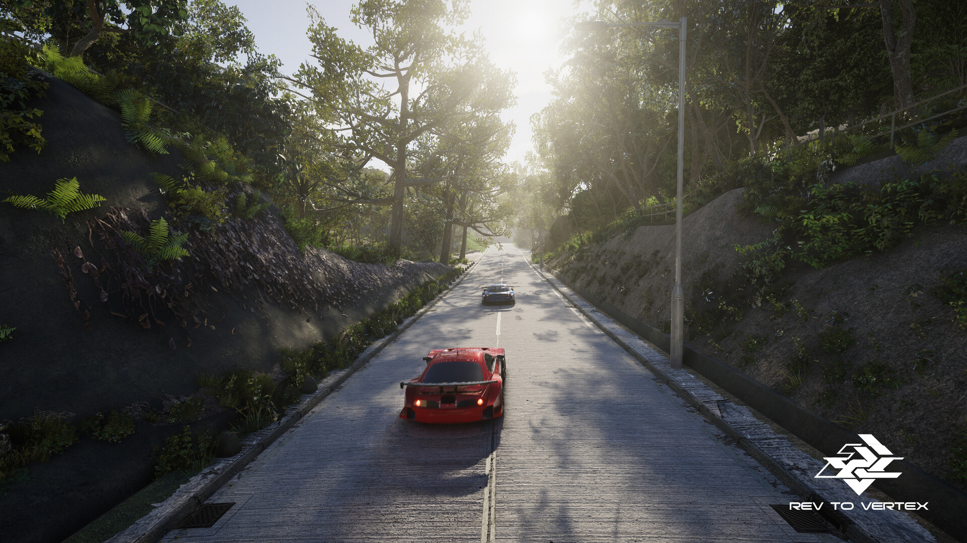 R2V Rev to Vertex screenshot 6