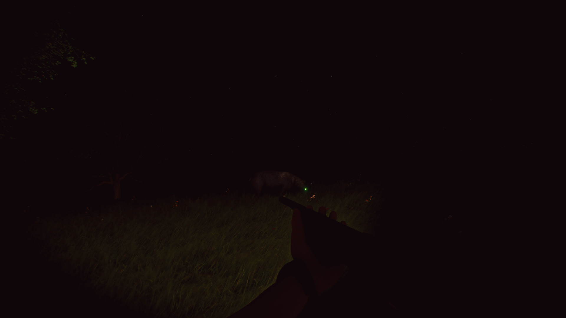 Bolu screenshot 21