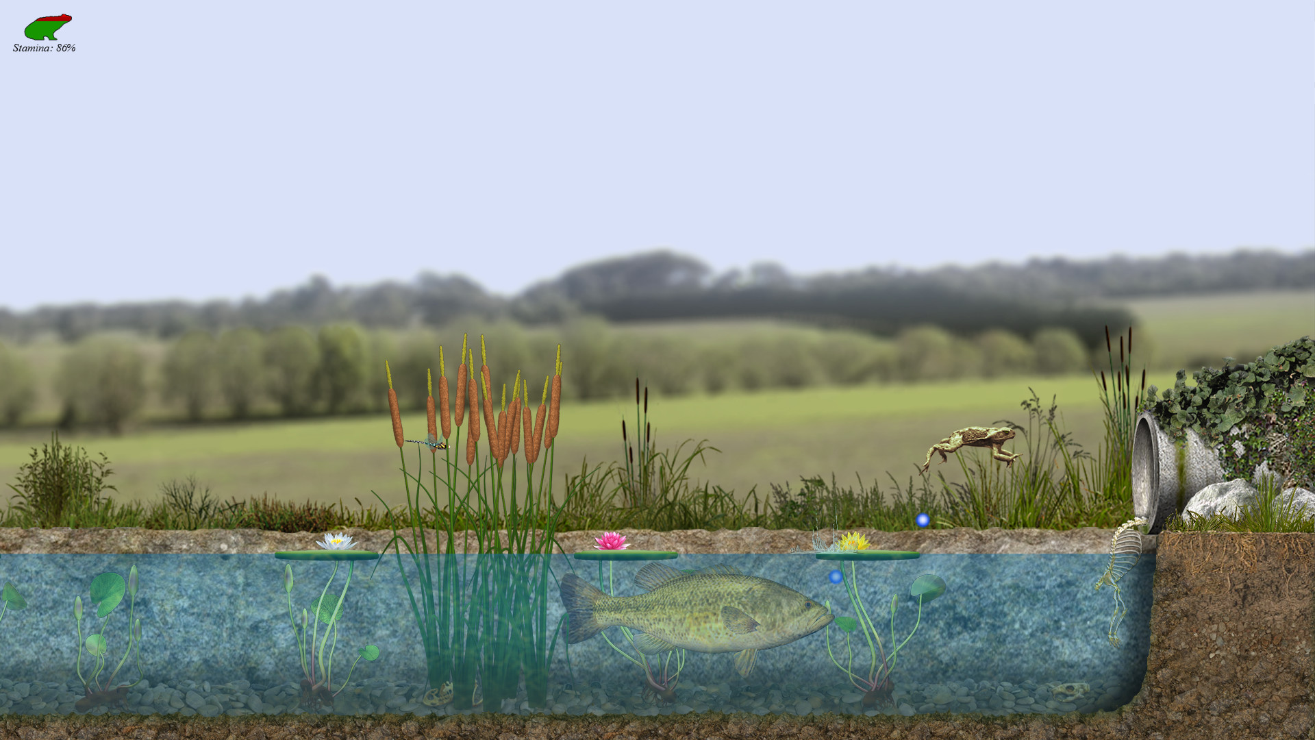 A toad well travelled screenshot 2