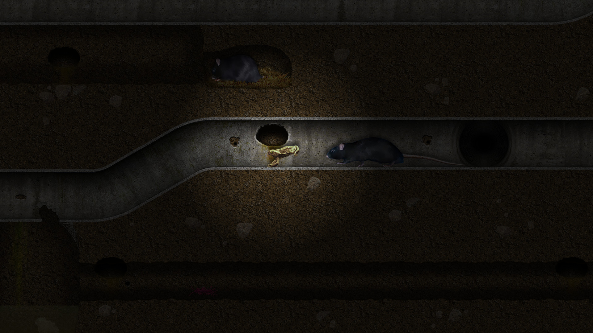 A toad well travelled screenshot 3
