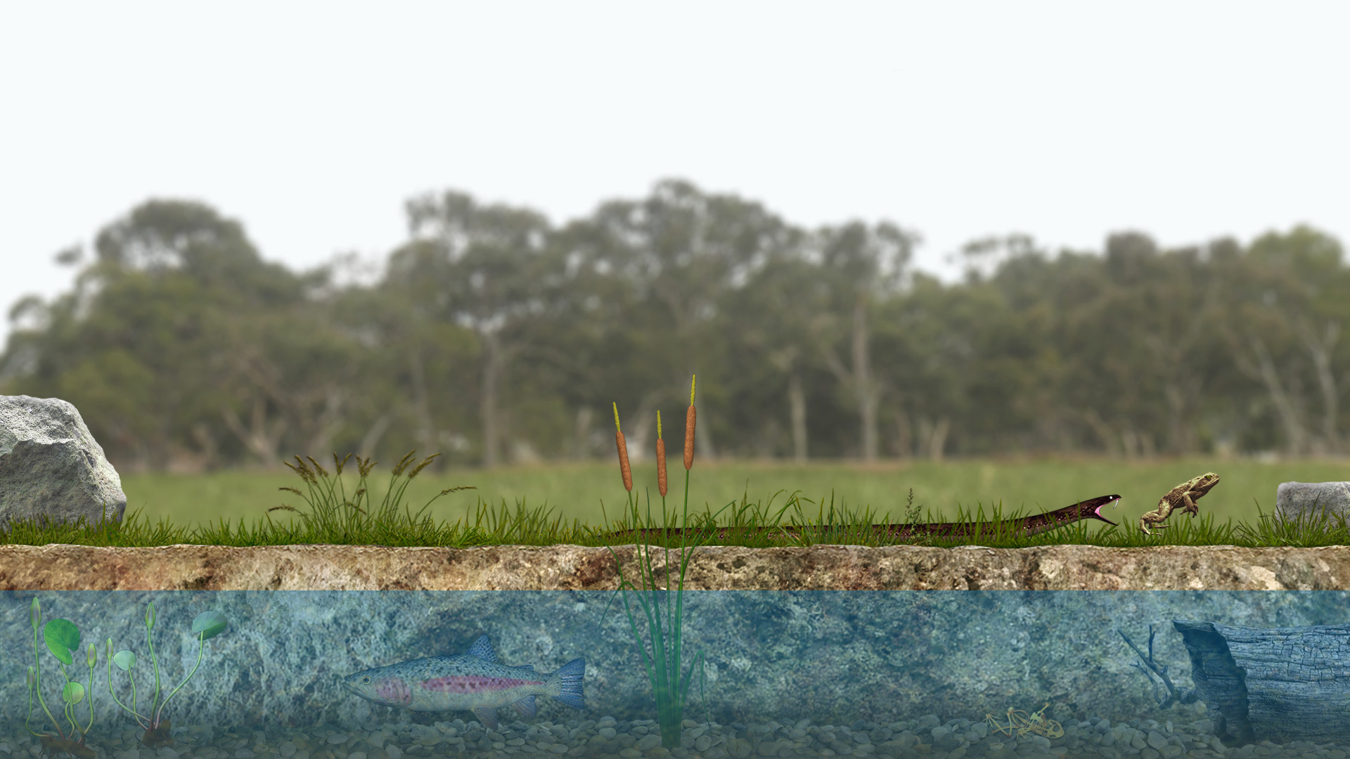 A toad well travelled screenshot 1